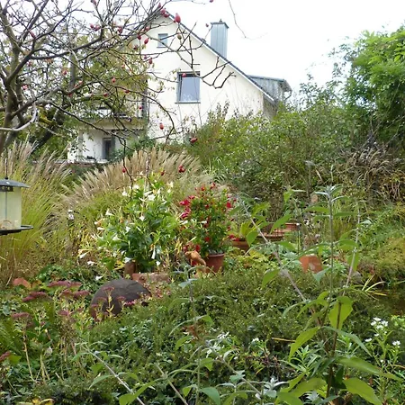 Eifelidylle Am Moselmaareradweg *