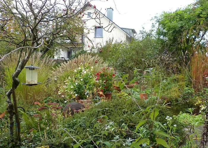 Eifelidylle Am Moselmaareradweg *